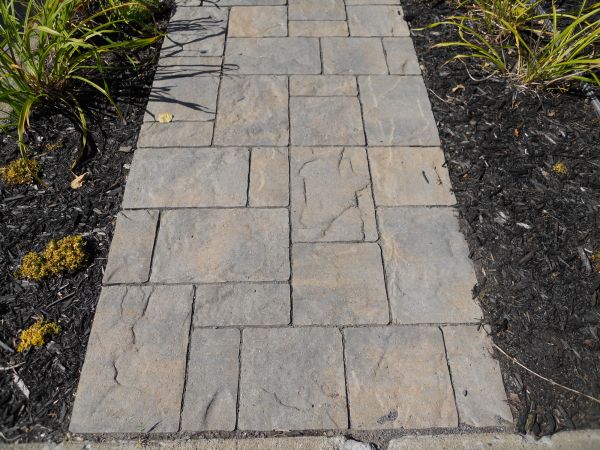 Stamped Concrete Staining in Napa