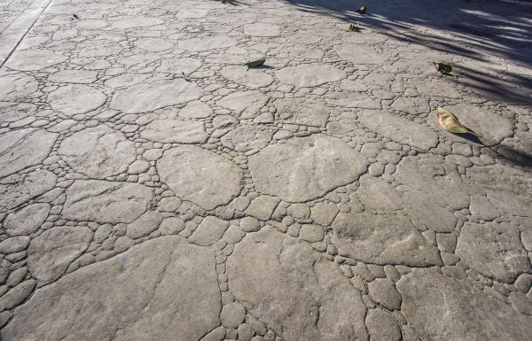 Stamped Pool Flooring